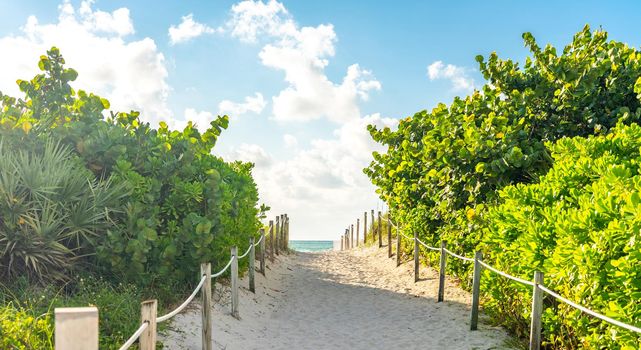Pathway to the beach in Miami Florida with ocean background