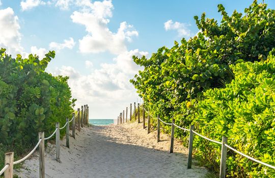 Pathway to the beach in Miami Florida with ocean background