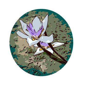 Iris Flower Set Inside Circle WPA Poster Art