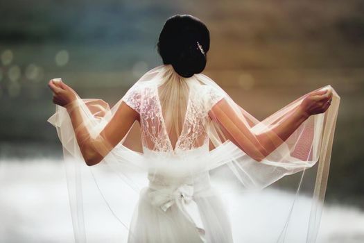Bride Poses With Flowing Veil