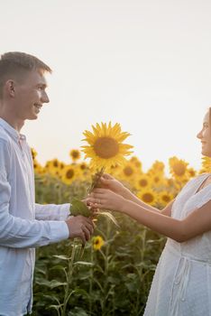 Beautiful couple having fun in sunflowers fields, man giving girlfriend a sunflower