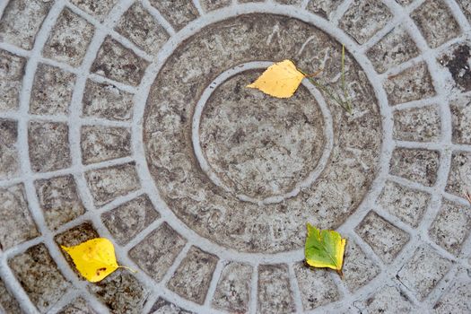 sewer manhole with yellow autumn. leaves manhole cover top view.