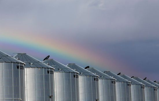 Prairie Rainbow in Saskatchewan