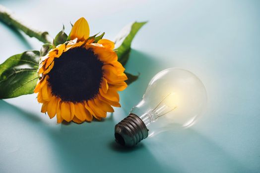 light bulbs with sunflower on blue background