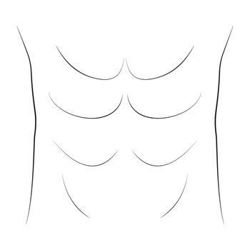 belly press bodybuilder, vector drawing abdominal and groin muscles, inflated press