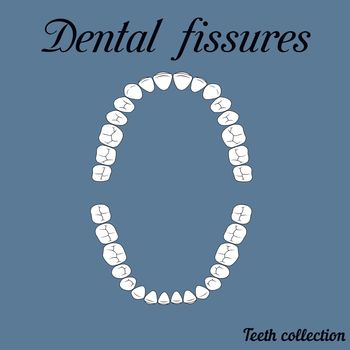 Dental fissures