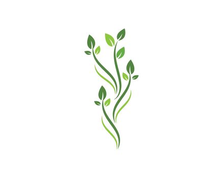green leaf ecology nature element 