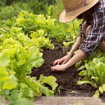 A young girl in a straw hat is engaged in gardening work, processes black soil before planting seedlings, plant seeds. A woman cultivates plants, farms on a sunny day.
