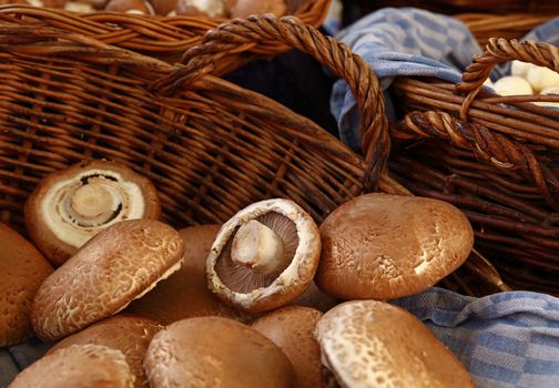 Portobello edible mushrooms at retail display