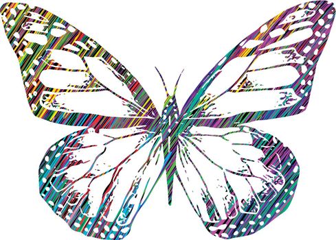 Colorful Butterfly sketch