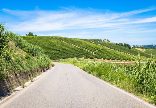 Piedmont hills in Italy with scenic countryside, vineyard field and blue sky