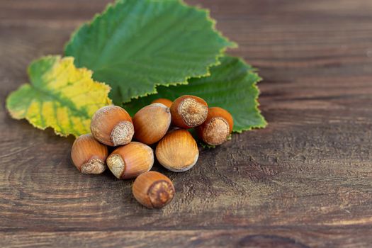 Hazelnuts on a wooden background with green leaves. Contains beneficial vitamins and minerals.
