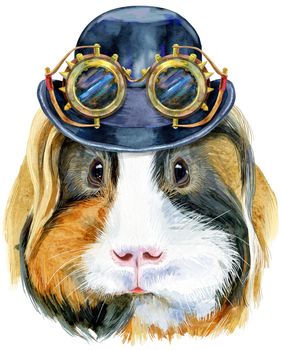 Watercolor portrait of Sheltie guinea pig with hat bowler and steampunk glasses on white background