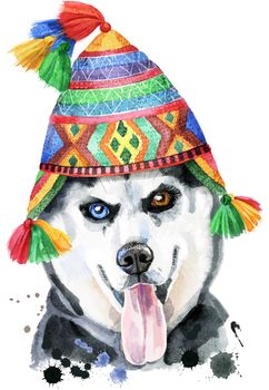 Watercolor portrait of husky in a Peruvian hat
