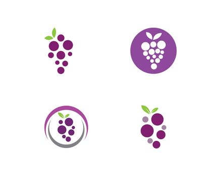 Grape with leaf icon vector