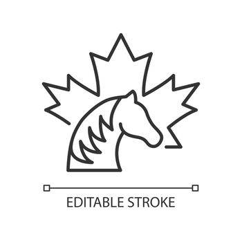Canadian horse linear icon