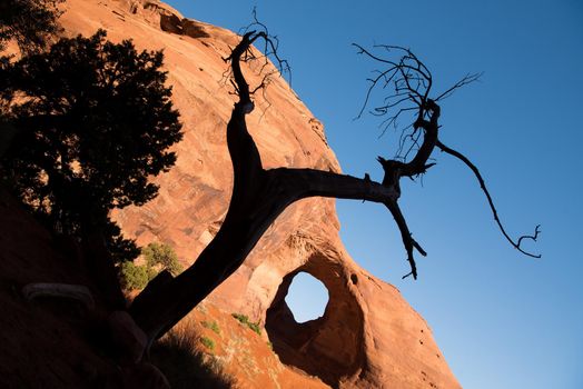 Ear-of-the-Wind Utah arch giant sized hole in rock face at