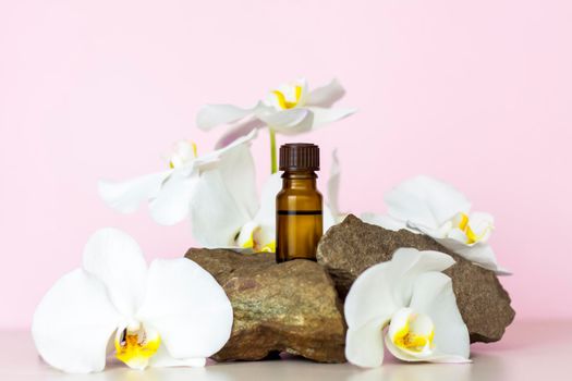 A brown bottle of cosmetic oil stands on a large structural stone with beautiful orchids next to it. Stylish appearance of the product, layout, personality.
