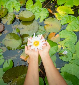 Woman holding lotus flower - waterlily