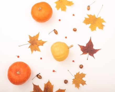 Autumn flat lay. Maple leaves, pumpkins and acorns on a white background