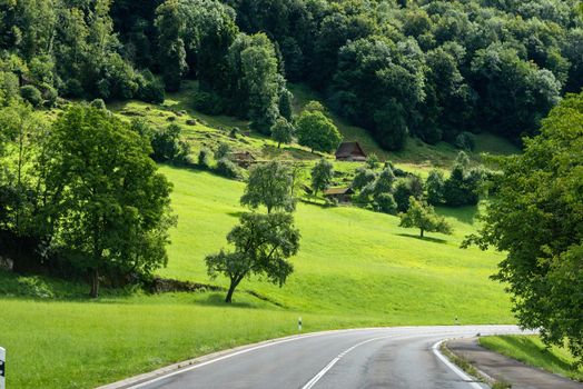 Beautiful green hill landscape in Switzerland Alps