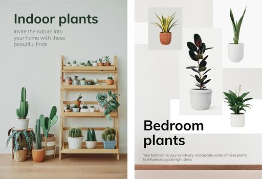 Houseplant poster template vector set for indoor gardening