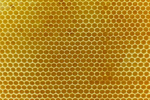 Real natural honeycombs made from yellow beewax  