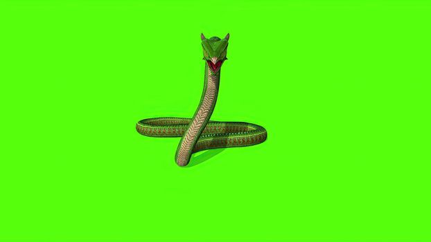 3d illustration - Snake  Python on Green Screen background