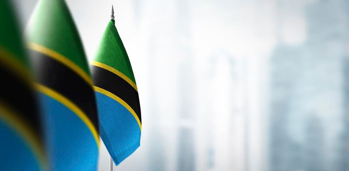 Small flags of Tanzania on a blurry background of the city