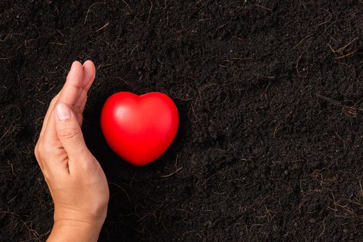woman hand holding red heart on compost fertile black soil