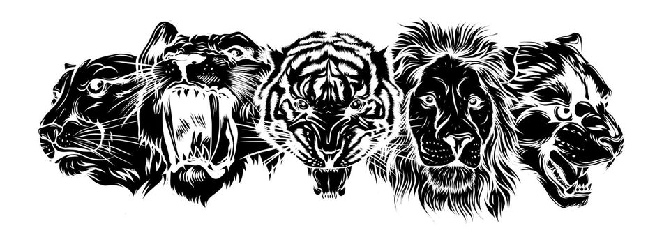 Set of stylized feline heads on grey background. Vector Illustration