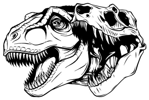Tyrannosaurus rex skull fossil vector illustration design