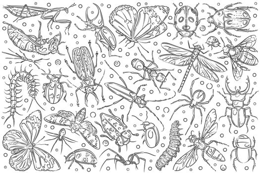 Hand drawn insects ant and butterfly.