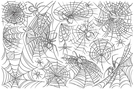 Hand drawn spider and web