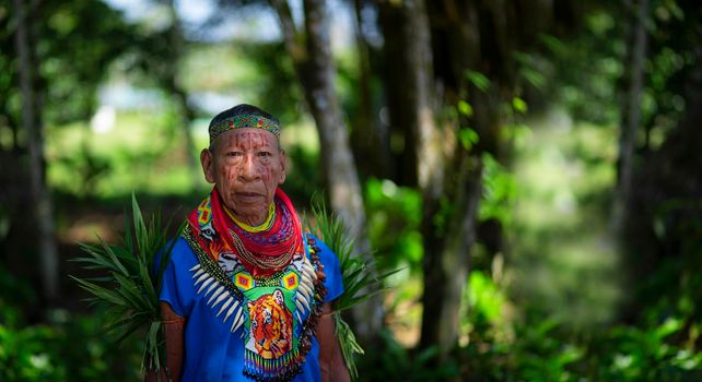Close up of an elderly shaman of the Cofan nationality walking in the middle of the Amazon jungle