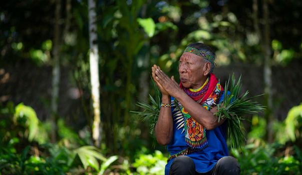 Elderly indigenous shaman of Cofan nationality praying with his hands joined  in the Amazon rainforest