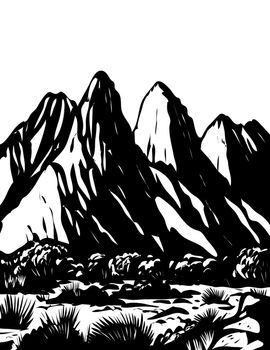 Organ Mountains-Desert Peaks National Monument in Las Cruces New Mexico USA WPA Black and White Art 