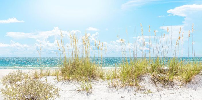 sunny beach with sand dunes, grass and blue sky