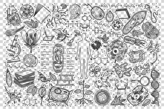 Biology doodle set