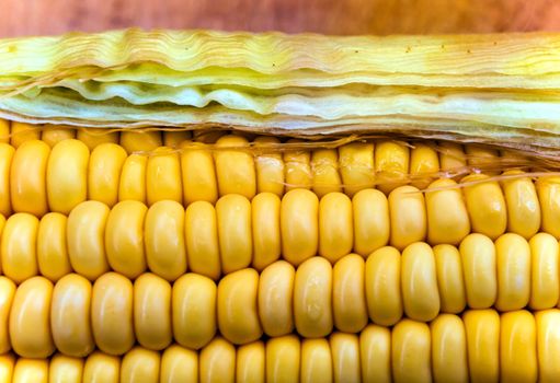 Texture of raw corn cob sweet maize