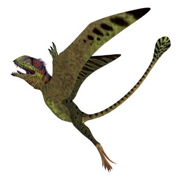 Peteinosaurus Reptile Rising