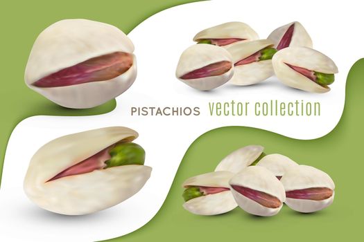 Set of vector pistachios nuts. Realistic salted kernel with dry shell. Pistache isolated on white and green background. Vegetarian fruit illustration.