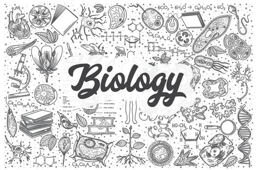 Hand drawn biology vector doodle set.