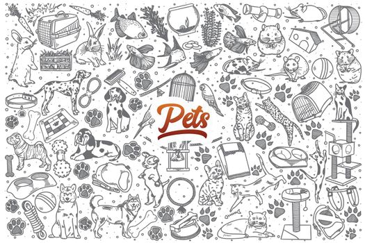 Hand drawn Pets doodle set with lettering