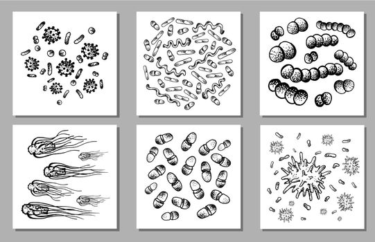 Vector Set of black sketch bacteria isolated on white backgtound. Microbe in medical therapy. Germ illness element. Hand painted bacterium for medicine concept.