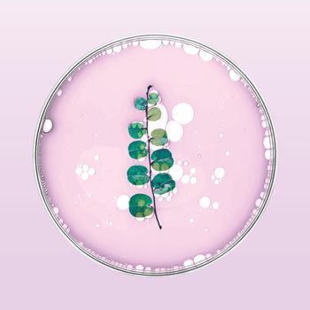 Leaf in petri dish vector natural product
