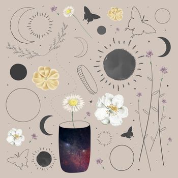 Floral and astronomical element collection design vector