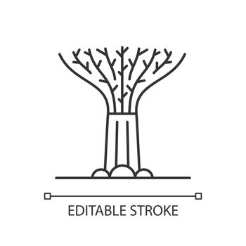 Supertree grove linear icon