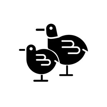 Chicks black glyph icon
