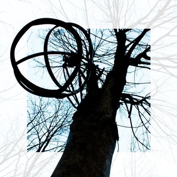 Silhouette of a tree with a hanging cage trap against a blue sky with a translucent white frame